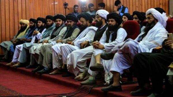 Afghanistan exports fresh pomegranates to Russia for the first time